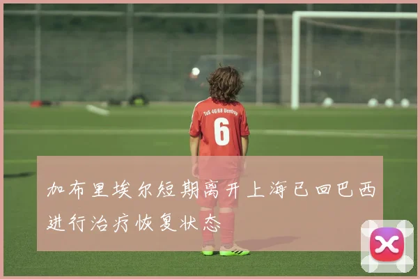 加布里埃尔短期离开上海已回巴西进行治疗恢复状态