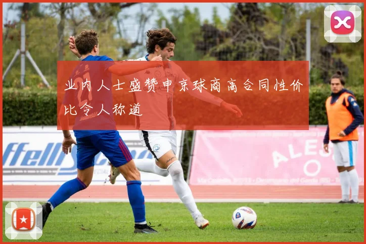 业内人士盛赞申京球商高合同性价比令人称道